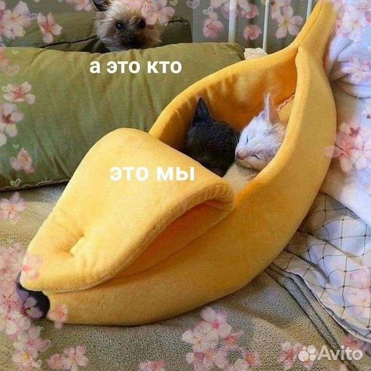 Лежанка для кошек 