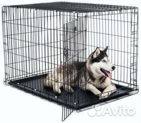 Вольер клетка для собак и кошек в аренду
