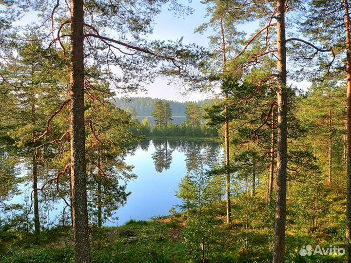 Экскурсия — Выборг — Затерянный мир Карельского пе