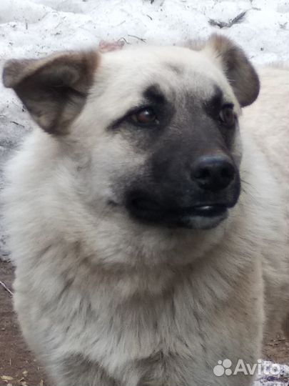 Молодая озорная