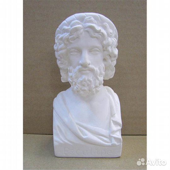 Бюсты шести докторов: Эскулапа, Павлова, Пирогова