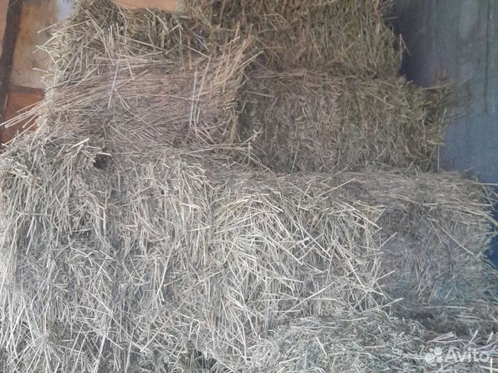 Сено в тюках