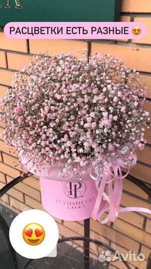 Пышный букет из гипсофилы