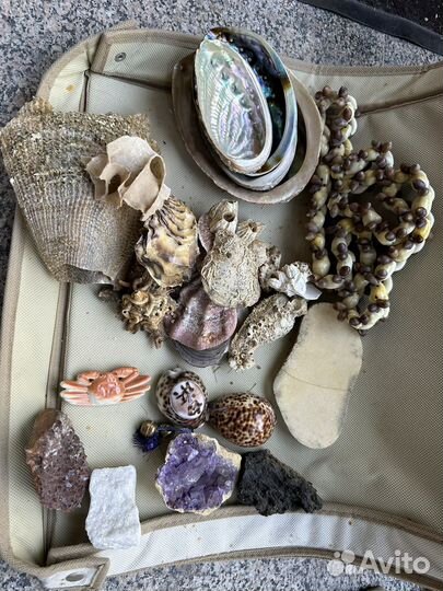 Морская коллекция