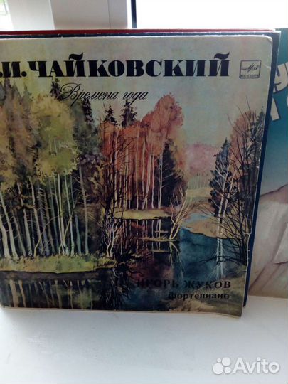 Виниловые пластинки