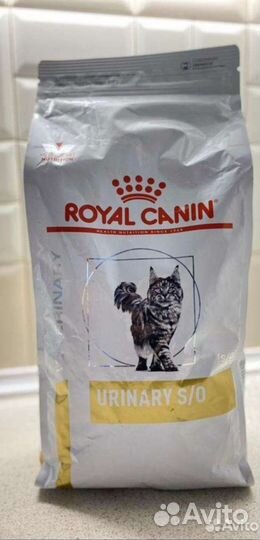 Корм для кошек royal canin