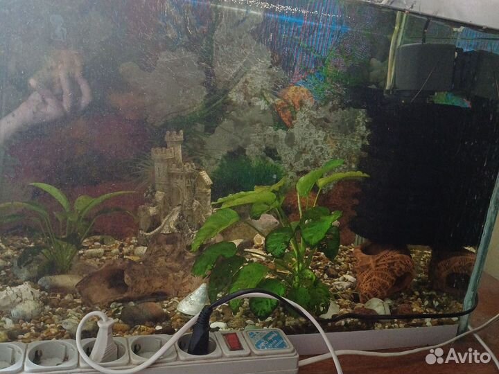Аквариум с рыбками