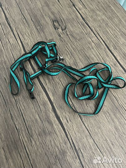 Предметы ухода и игрушки для кошки