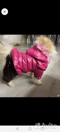 Зимний комбинезон для собак мелких пород