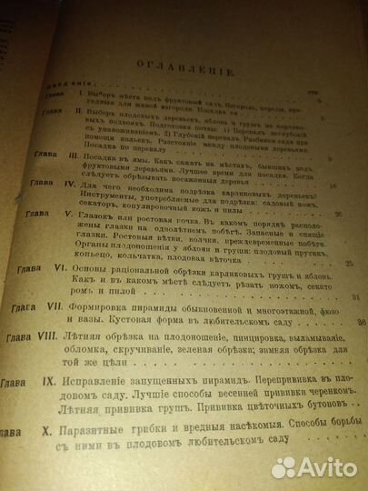 1917г Плодовый сад Яблоня и груша