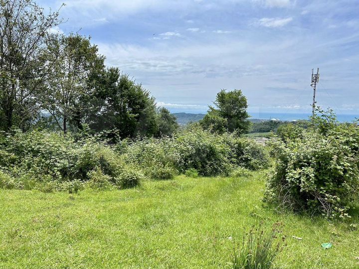 Участок 6 сот. (СНТ, ДНП)