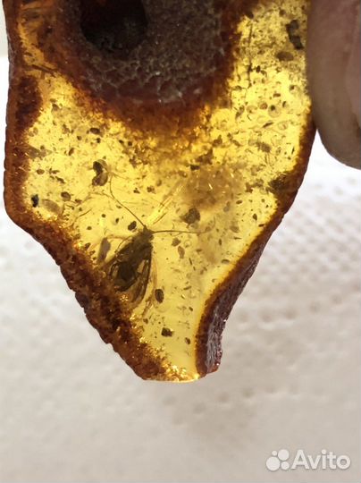 Янтарь с инклюзом куриный бог