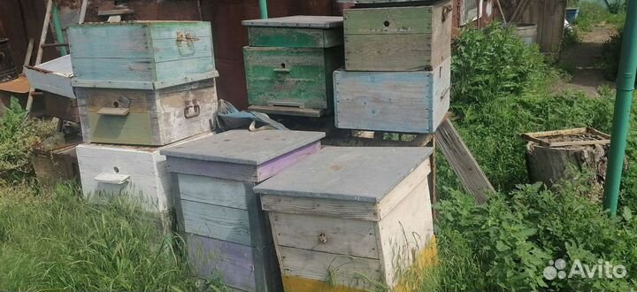 Улей для пчел