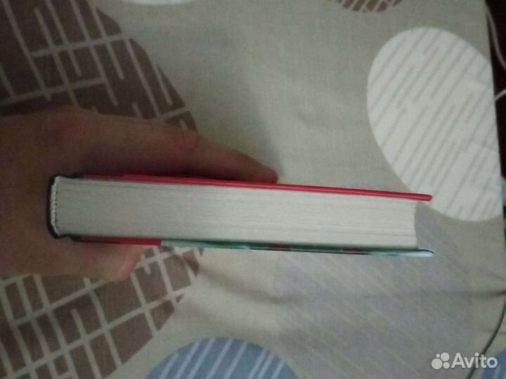 День опричника. Владимир Сорокин. аст