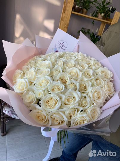 51 белая роза