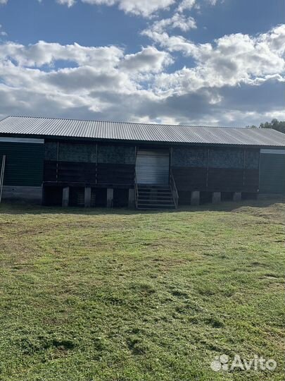 Рыболовецкая база отдыха