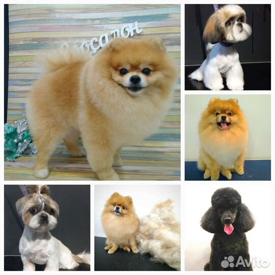 Красота и Настроение за достойное вознаграждение