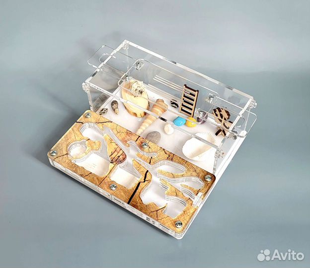 Муравьиная ферма Формикарий