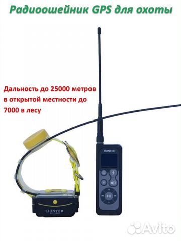 Радиоошейник для охотничьих собак, gps купить в Воронеже | Хобби и ...