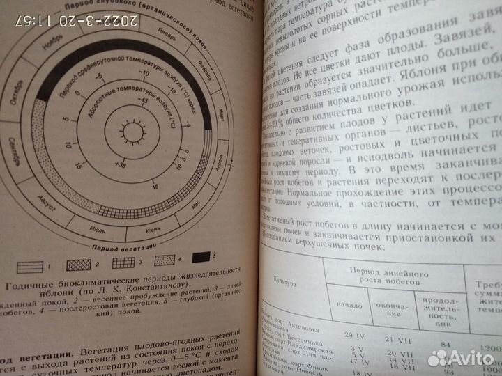 Погода, огород и сад любителя