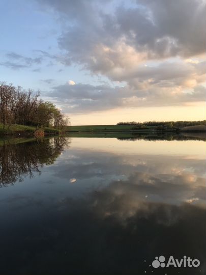 Пруд в аренду
