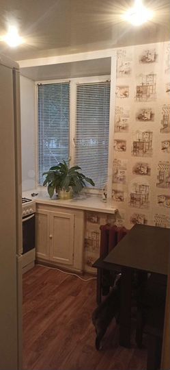 1-к. квартира, 31,5 м², 1/4 эт.