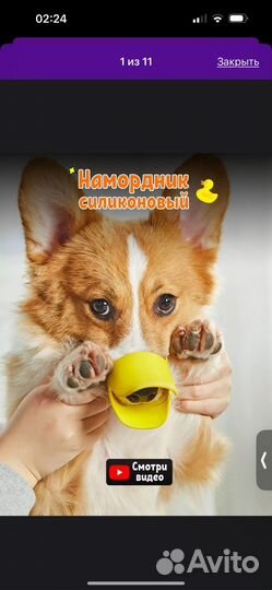 Намордник для собак