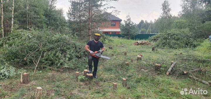 Расчистка участка,спил кустарников,выравнивание