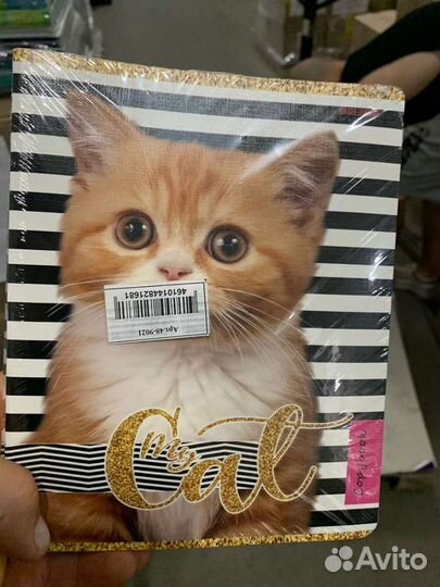 Тетради на скрепке 96л