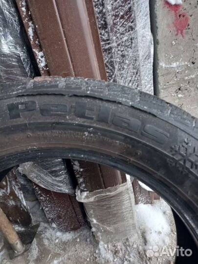 Petlas Snow Master W651 205/55 R16