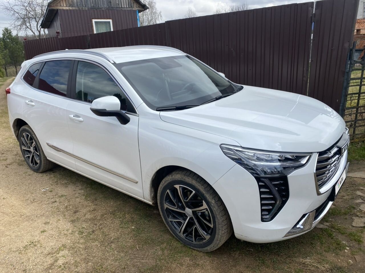 HAVAL Jolion: фото владельца