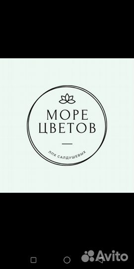 Тюльпаны и Мимоза к 8 марта оптом и розницу