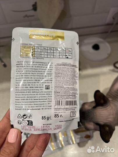 Royal canin urinary so для кошек