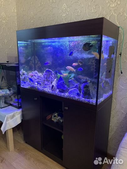 Аквариум