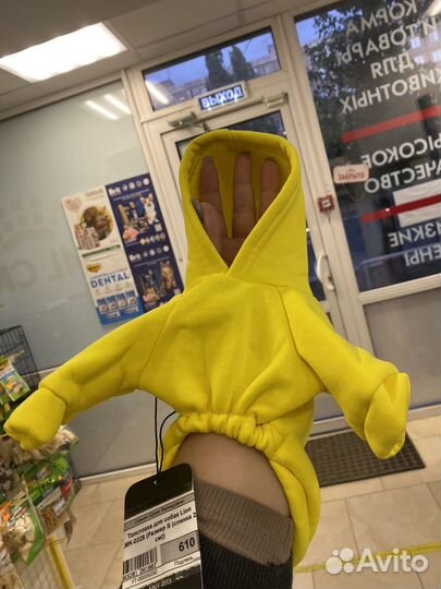 Одежда для собак