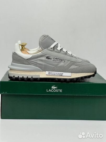 Кроссовки мужские lacoste серые