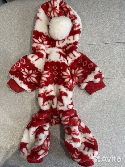 Одежда для собак мелких пород