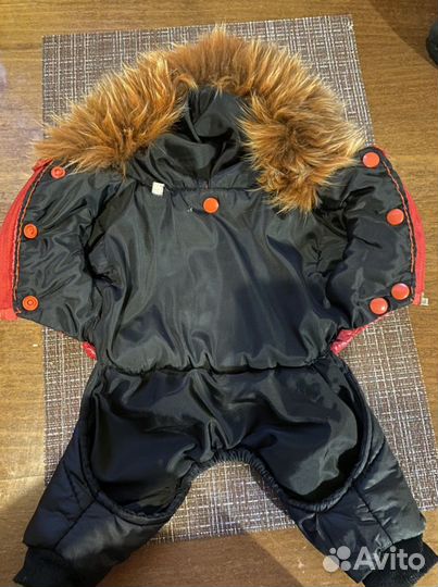 Одежда для собак