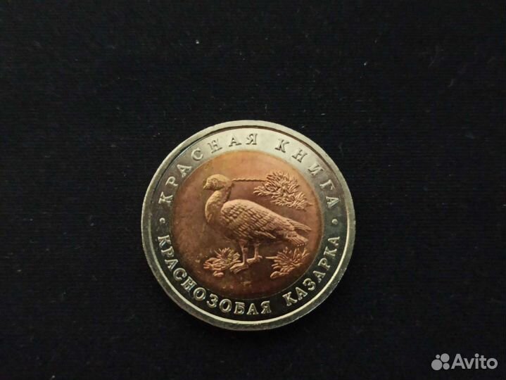 Краснозобая казарка. Красная книга