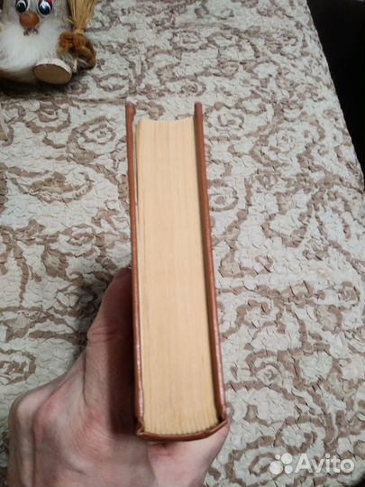 Сальгари Эмилио, Грей Зейн. В дебрях Атласа. Погра