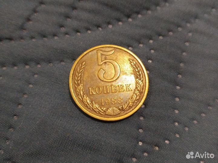 Коллекция монет и медалей