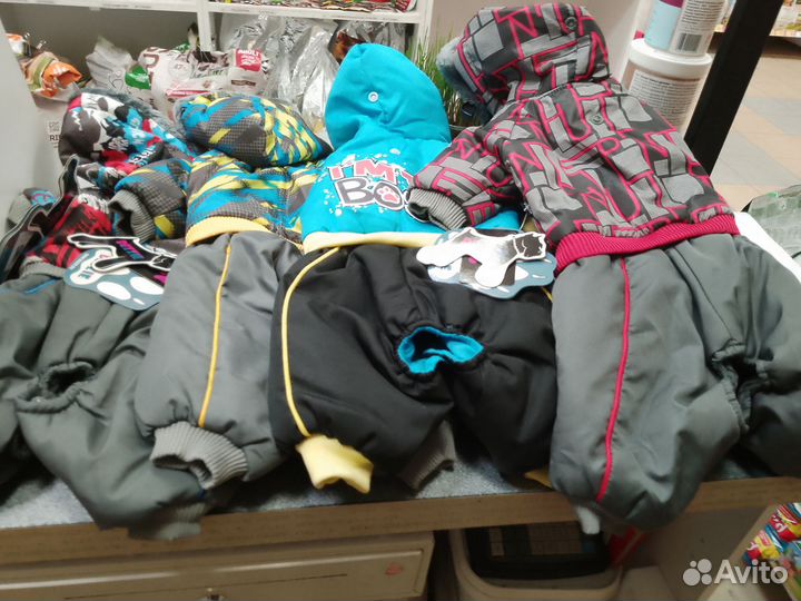 Зимние костюмы для собак