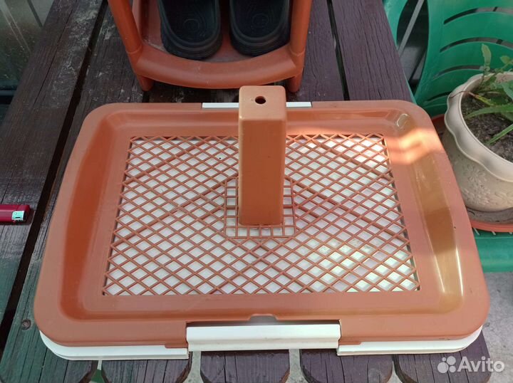 Лоток для собак