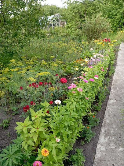 Дача 30 м² на участке 8 сот.