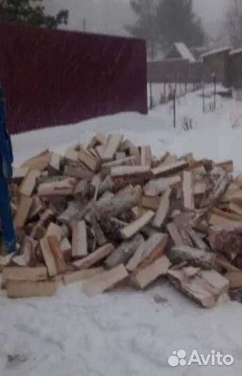 Дрова колотые березовые