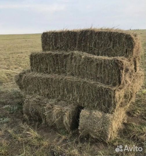 Сено, солома