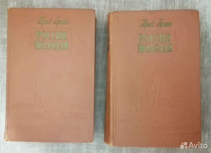 Книги. История России. 23 шт