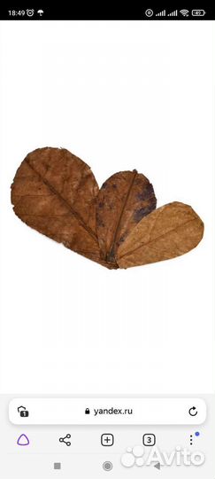 Вулканическая лава