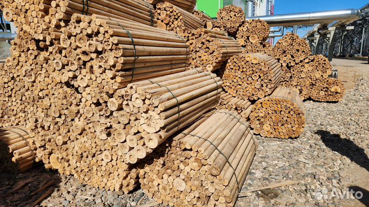 Карандаш березовый