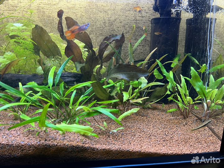 Продам аквариум
